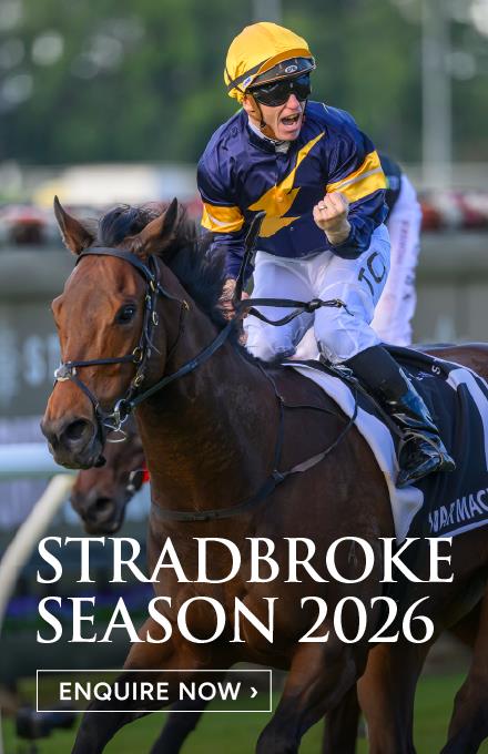 SS26_Homepage widget_440x680_Enquire Now